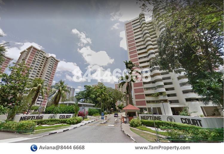 Neptune Court (D15), Apartment #158999052